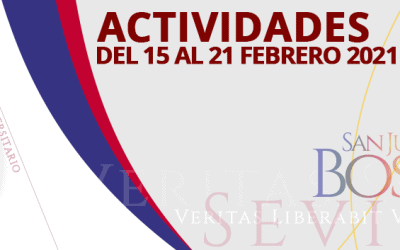 Actividades del 15 al 21 de febrero